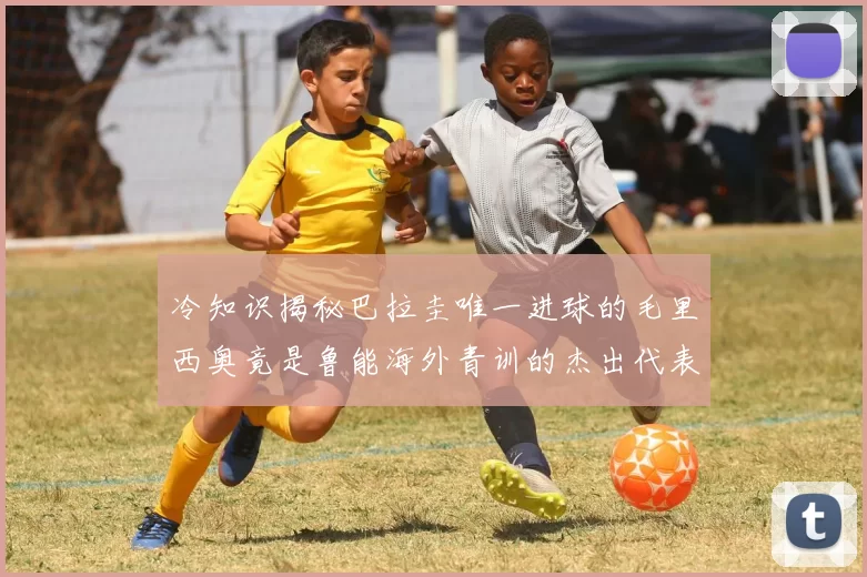 冷知识揭秘巴拉圭唯一进球的毛里西奥竟是鲁能海外青训的杰出代表