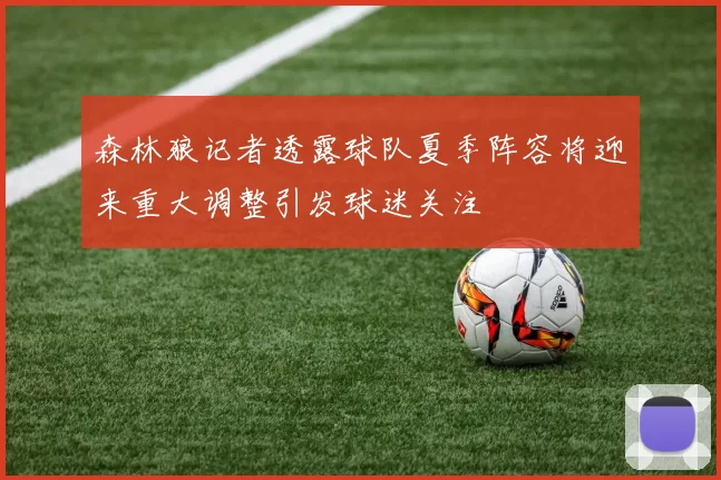 森林狼记者透露球队夏季阵容将迎来重大调整引发球迷关注